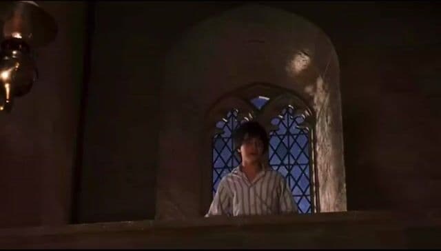En la saga 'Harry Potter', la Navidad transforma Hogwarts con árboles flotantes y el Yule Ball. Detalle clave: Harry recibe la Capa de Invisibilidad en su primera Navidad mágica, marcando un antes y un después en la historia.