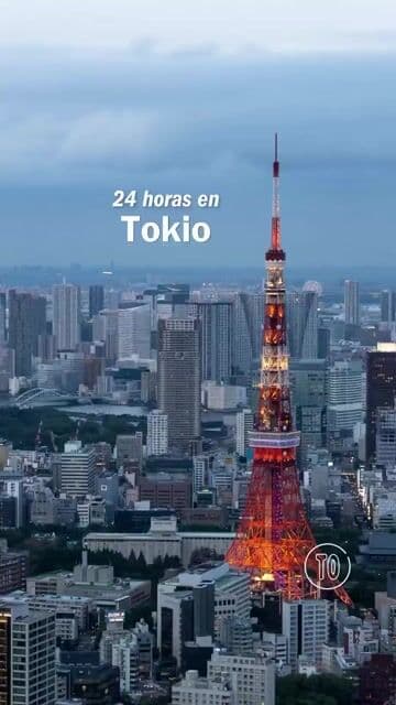 Descubre qué hacer en Tokyo en un día, desde visitar Shibuya hasta un café artesanal. Incluye recomendaciones para el mejor ramen en Tokyo y el mejor mirador Tokyo. Ideal para aprovechar al máximo tu viaje.