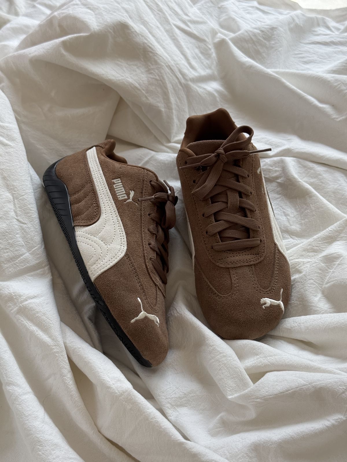 Social pumaspeedcat